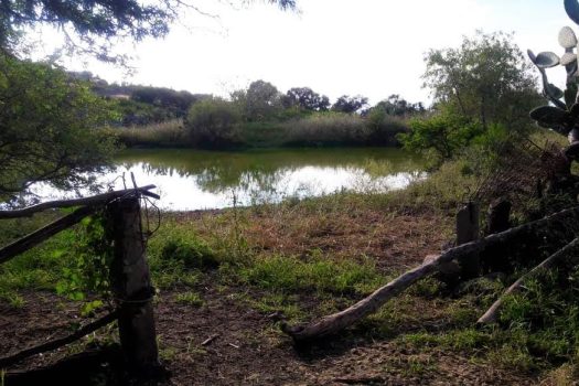 Terreno en Venta en Los Olvera (Corregidora)